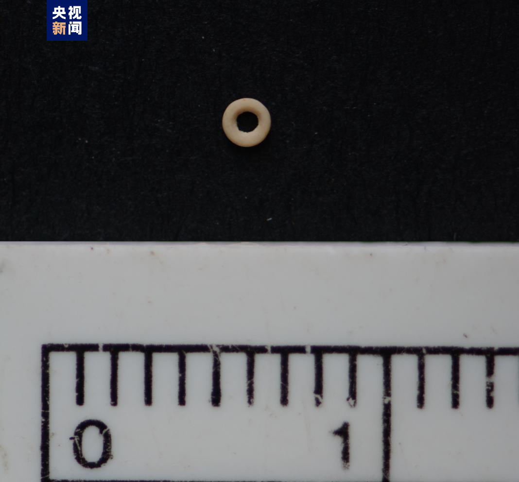 宁夏正式发布十大考古发现