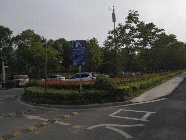 “我的面包车不见了！”原因让人哭笑不得……