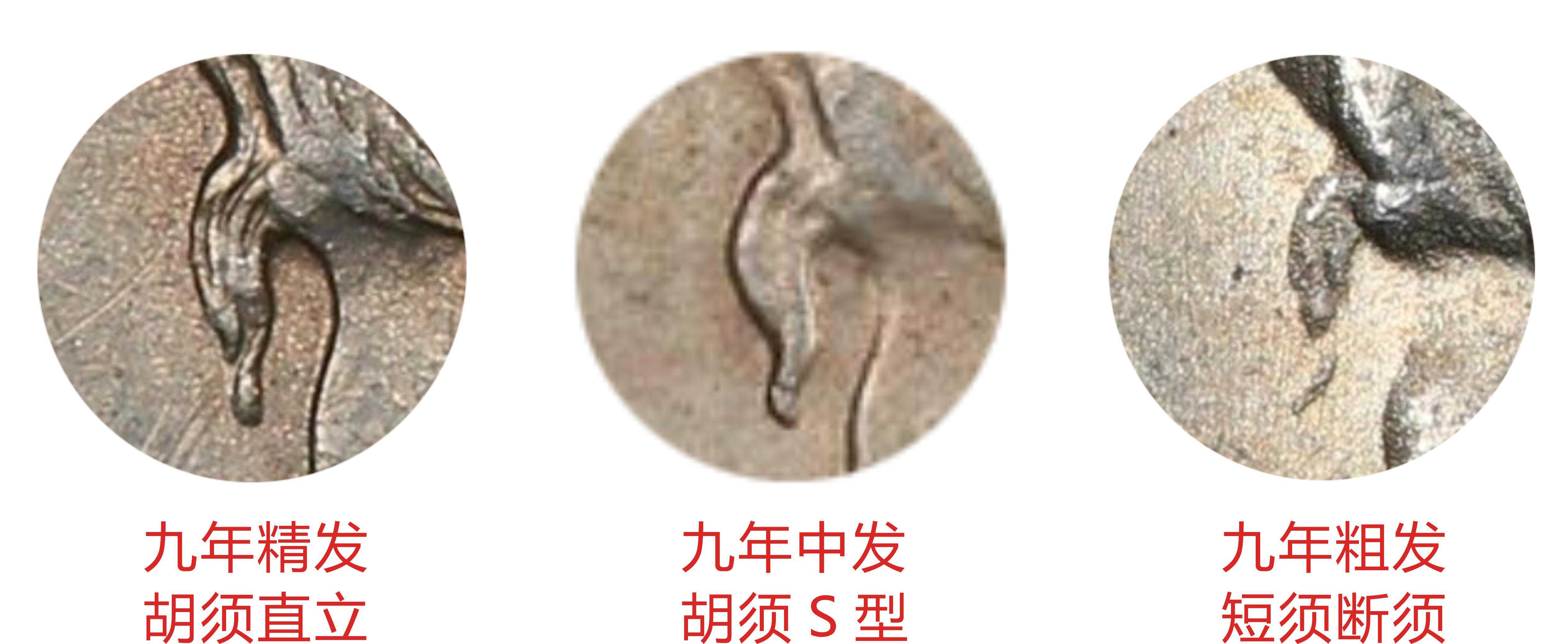 袁像大头银元版别大全——⑨九年版别