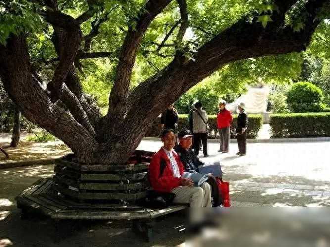 乡村故事——报应来了