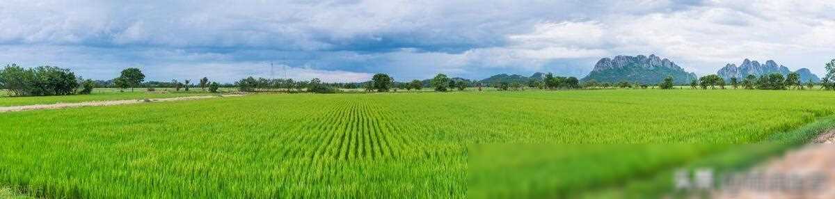 06年重庆一男子拼命将老婆养胖，2年后妻子甜蜜去世，丈夫却笑