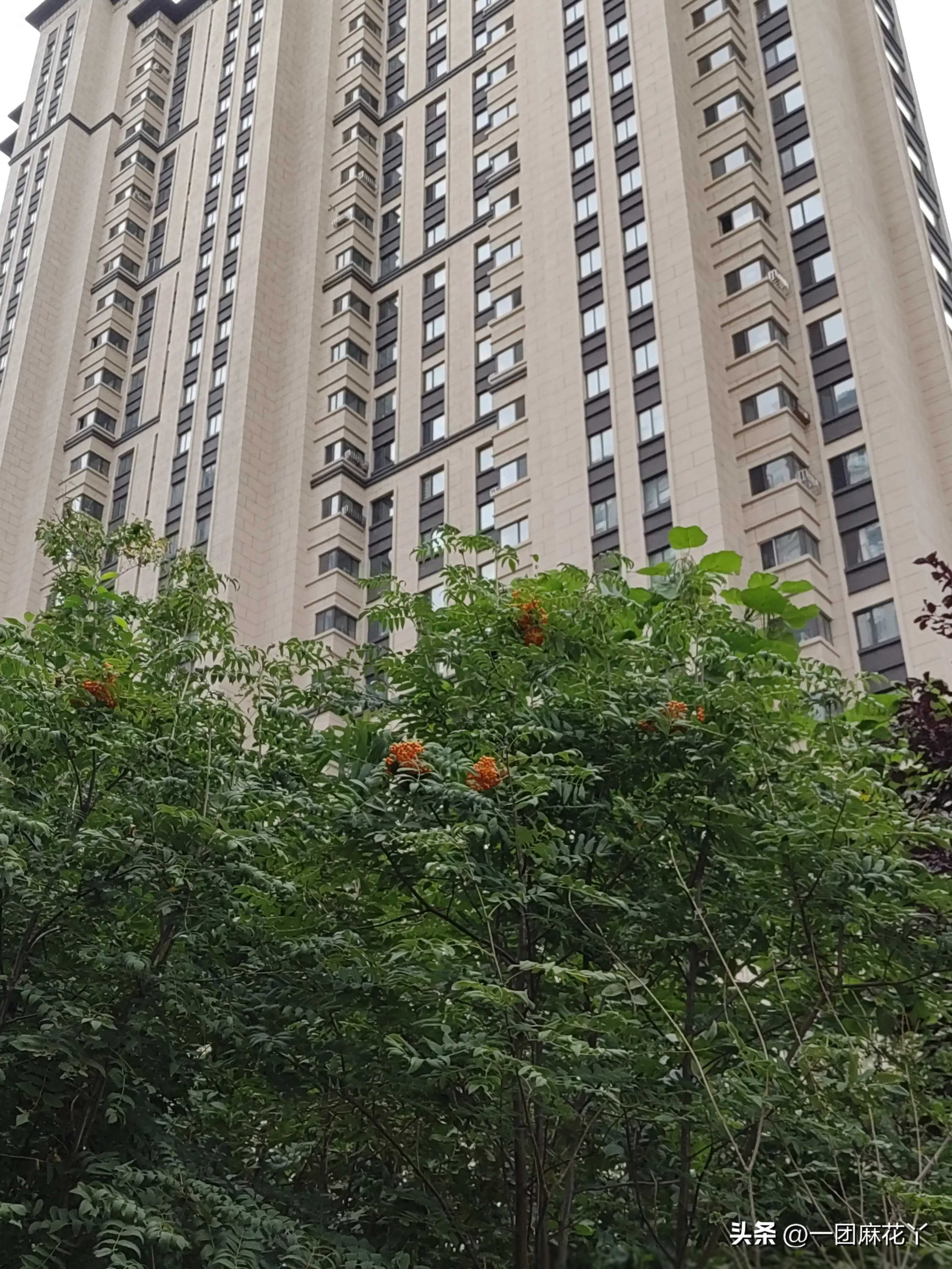 做女儿不容易呀