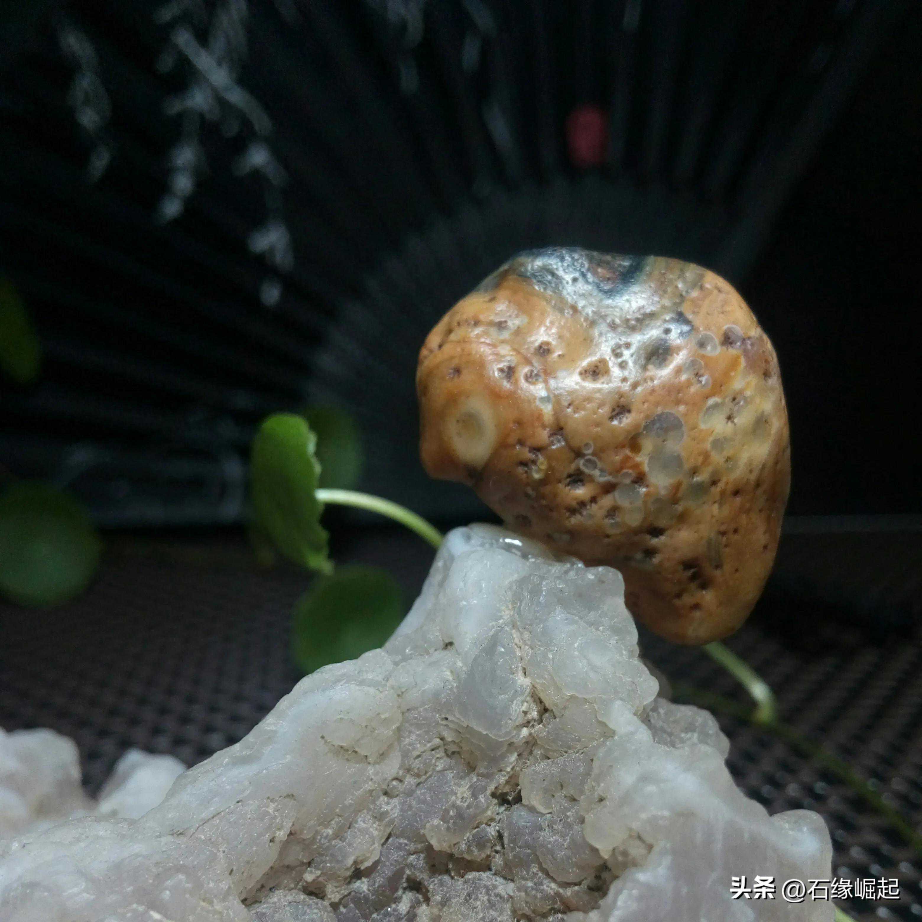 玩石，不仅仅是热爱，更是珍惜。