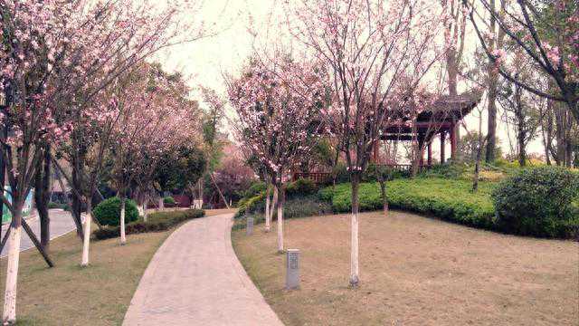 2024年／踏春赏花，品尝美食之旅／遂宁市十个景点值得一游！