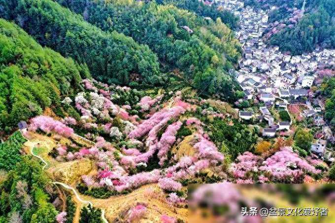 安徽歙县有一座小村落，被誉为“徽州盆景第一村”，火爆了朋友圈