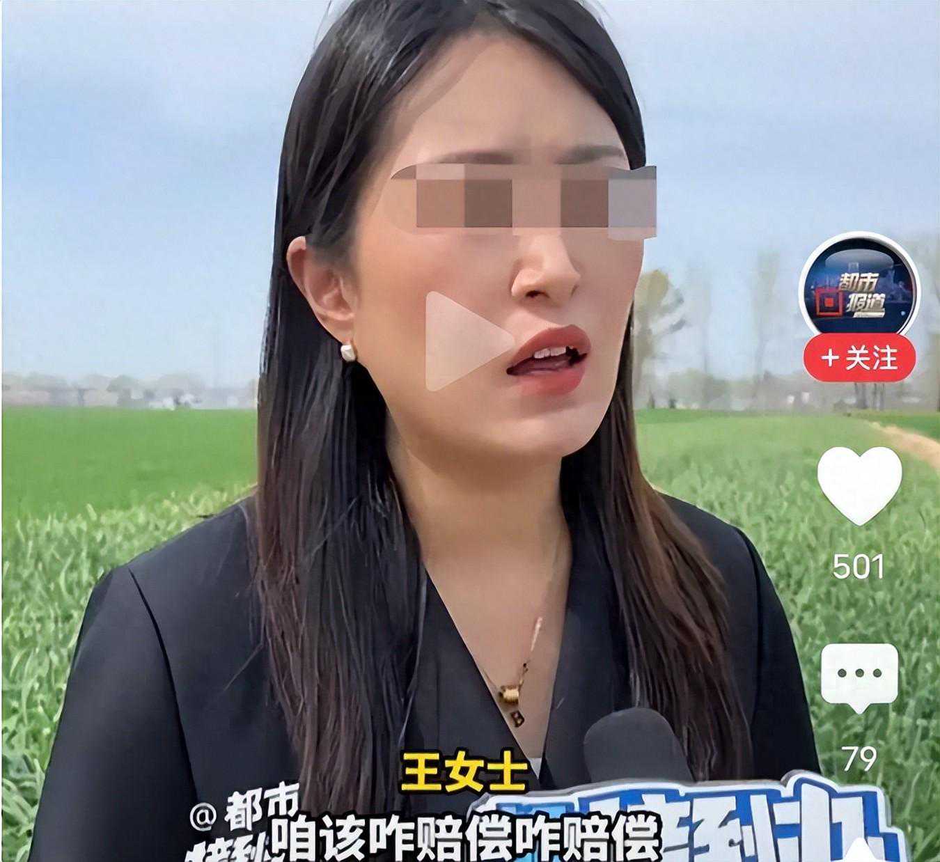河南大妈怒砸奔驰车，只因对方碾压自家蒜苗？后续或需天价赔偿