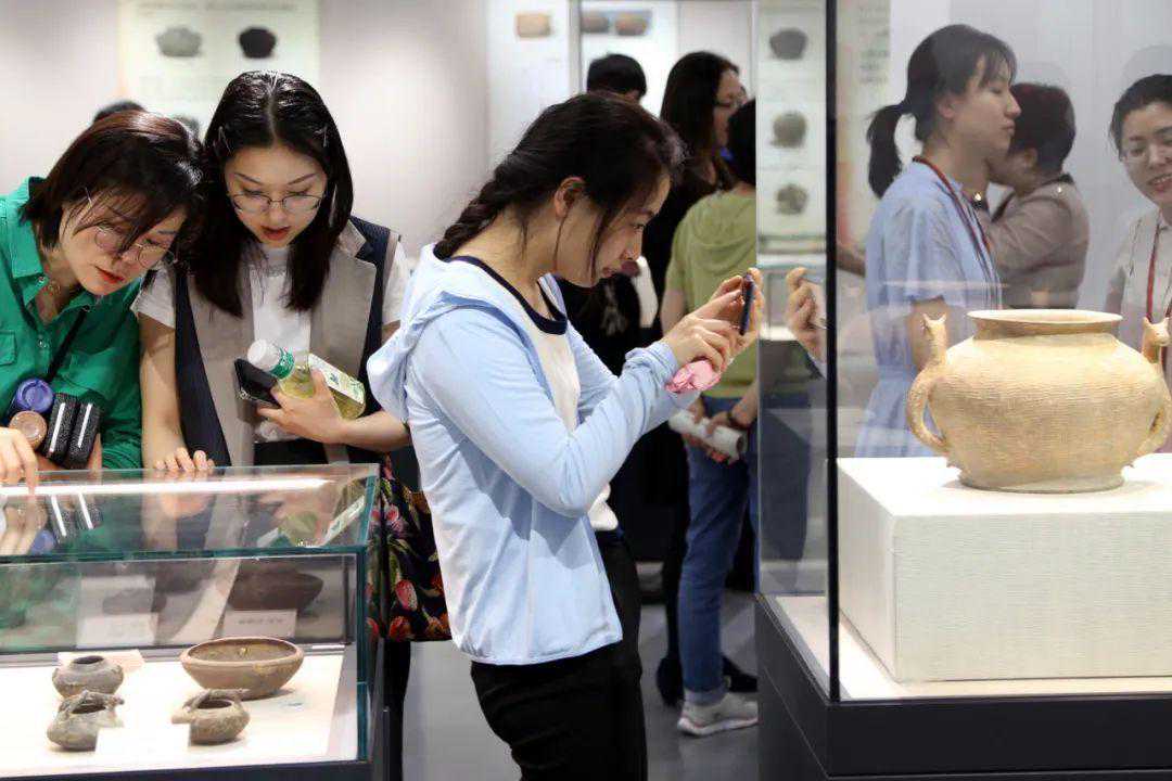 167件珍贵印纹硬陶在华东师大博物馆“安家”