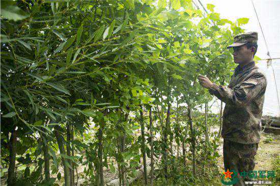 新藏线兵站那些鲜为人知的故事：天路遥远，天边有家