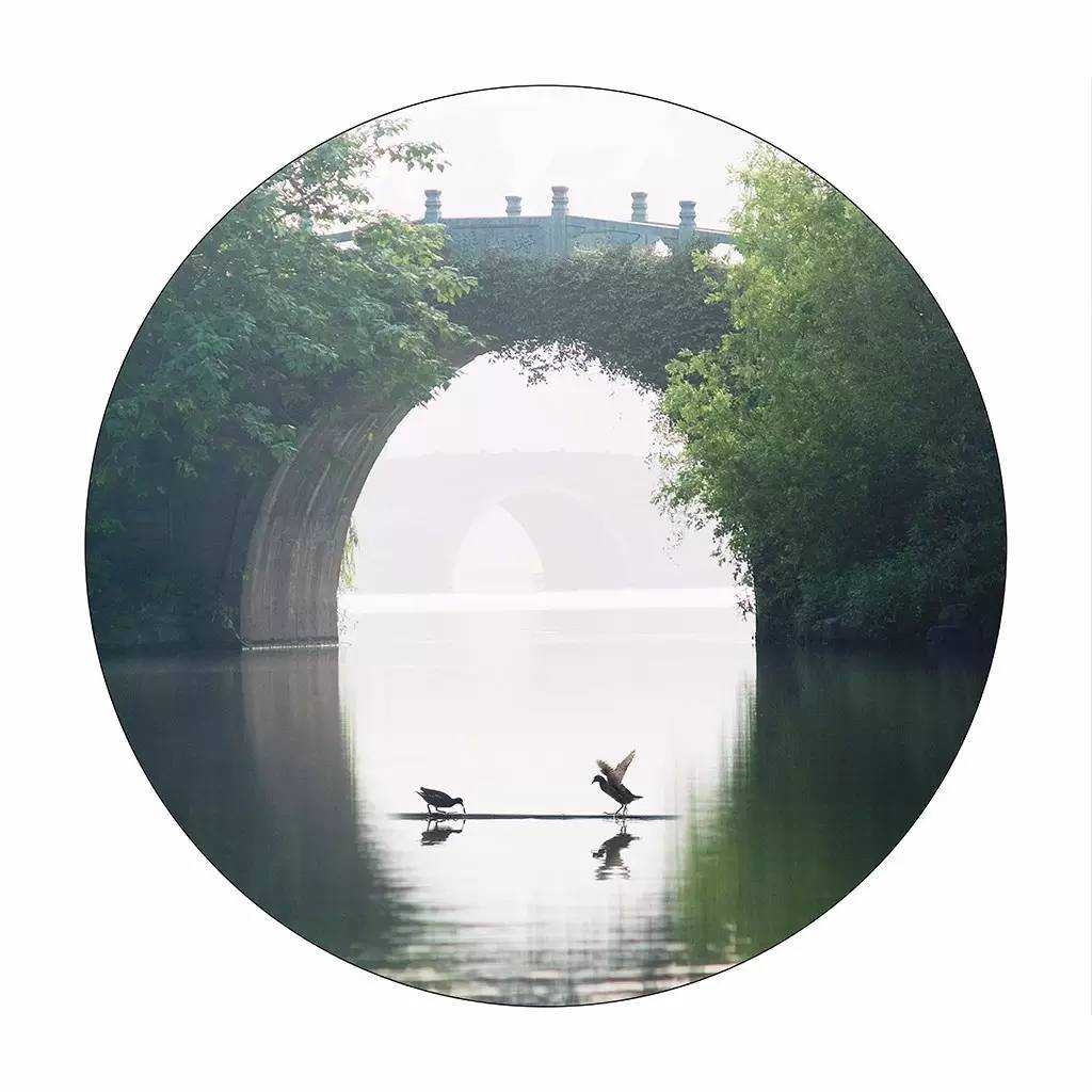 芒种 | 乙酉甲申雷雨惊，乘除却贺芒种晴。