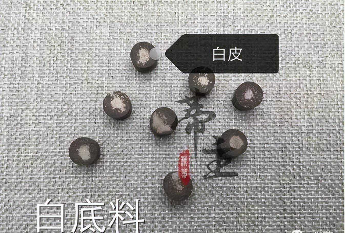 椰蒂科普大全，印尼，越南，海南哪里的好？