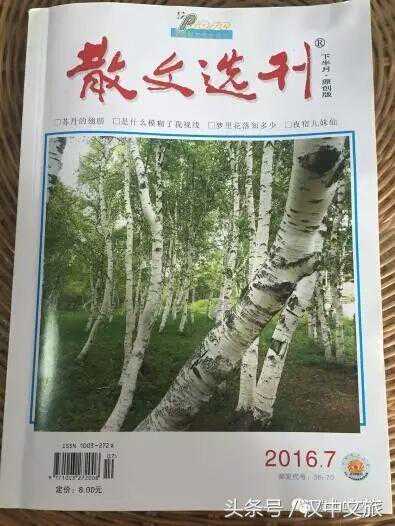 著名书法家武妙华作品在“散文选刊”发表