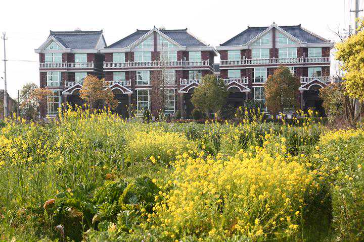 百村行丨团浦两姓聚居地 牛头屿庙演戏文