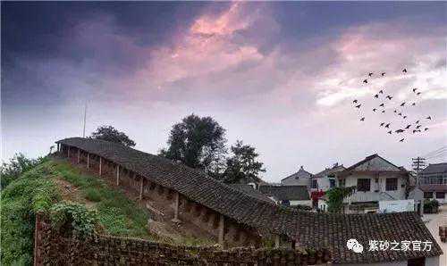 紫砂七老之后的第八人