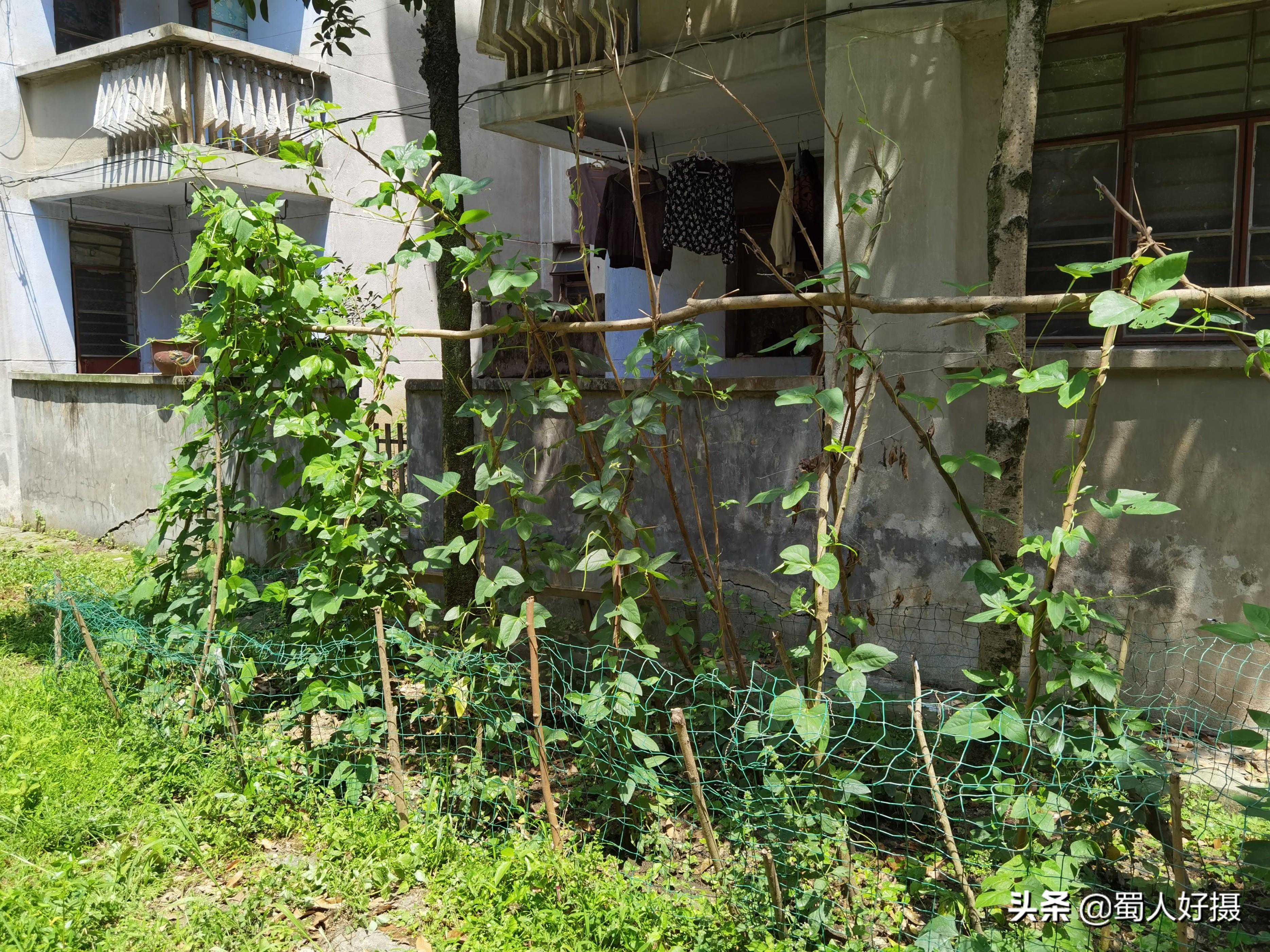 854、913、锦江厂，彭州三线工厂的前世今生