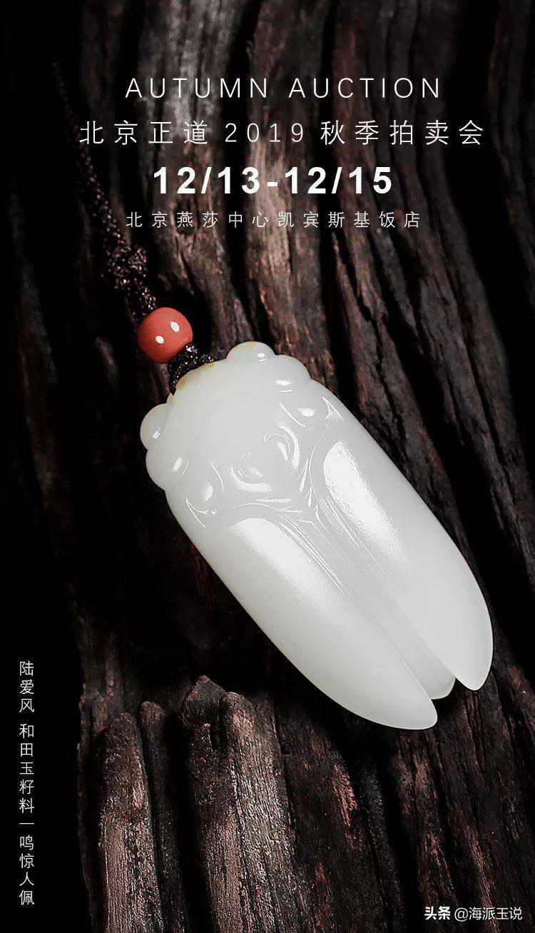 陆爱风：等风来不如造风