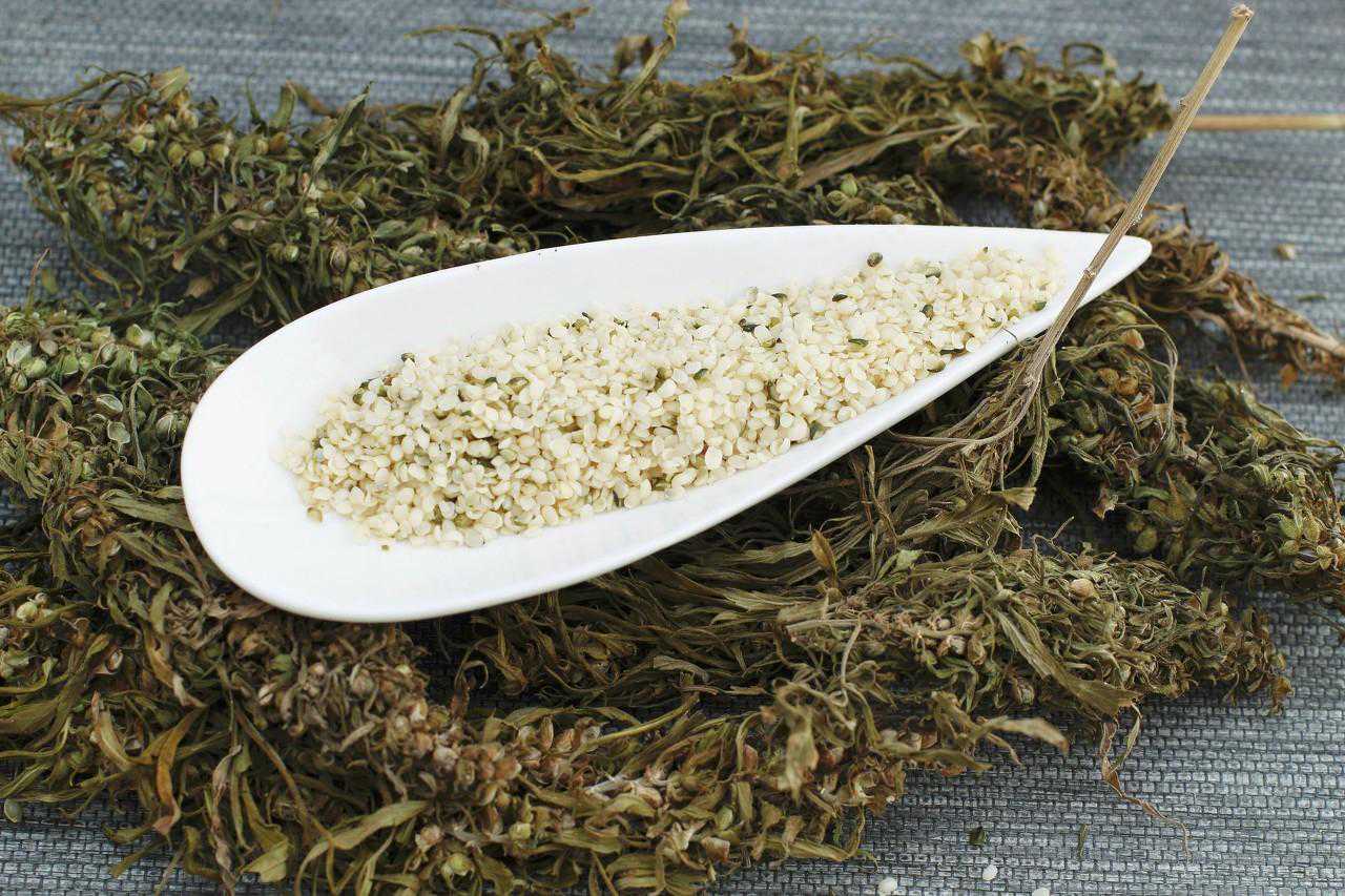 顺其性，养其真