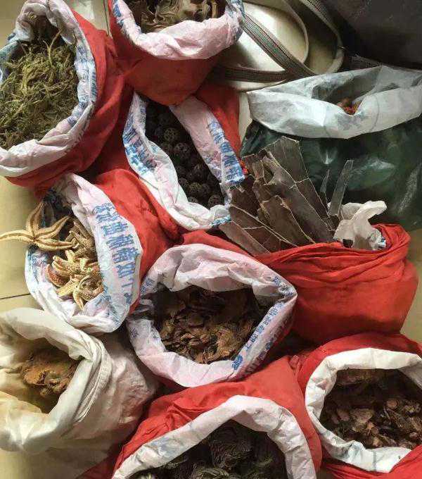 “虎骨”惊现江湖！差点就中招了……