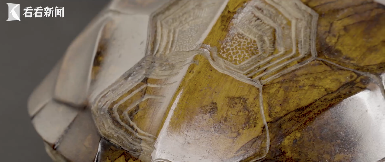 了不起的宝藏·探宝上博 第二季⑨九龟荷叶砚