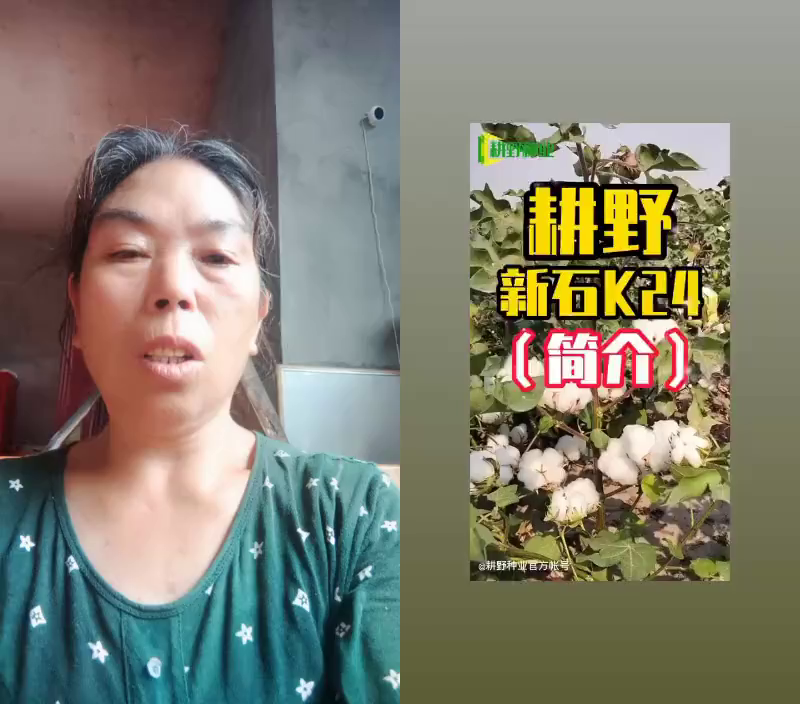 卖花的好选择——耕野新石K24
