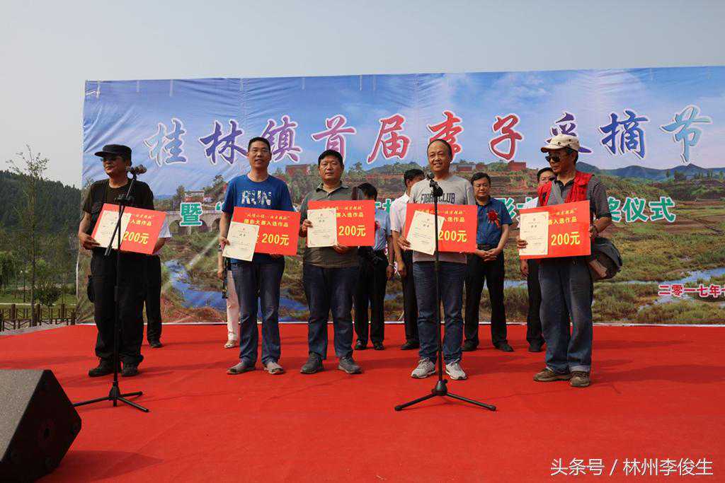 林州特产——桂林镇的李子熟了