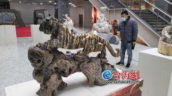 虎年福见 |泉州：雕虎绣虎喜迎新石上虎雕送祝福