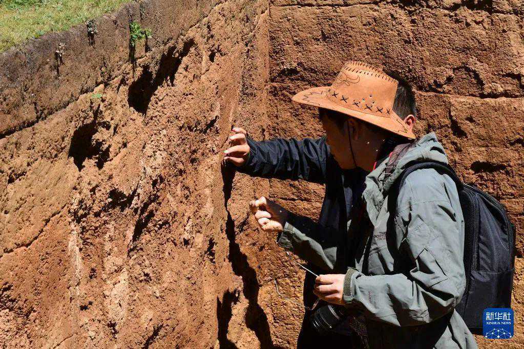 简单的石斧，为何堪称世界级发现？丨睡前聊一会儿
