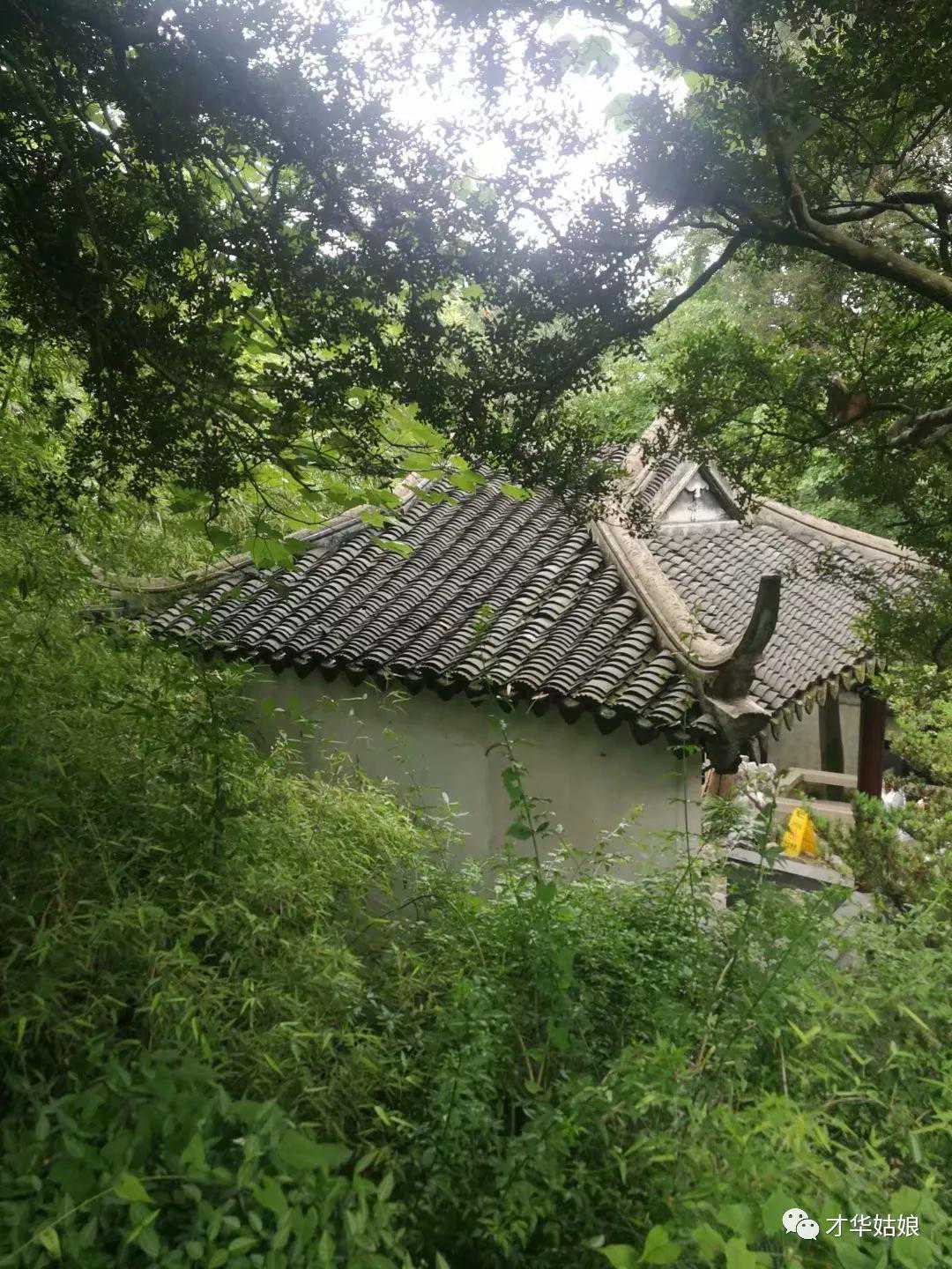 鱼肠、扁诸今何在？