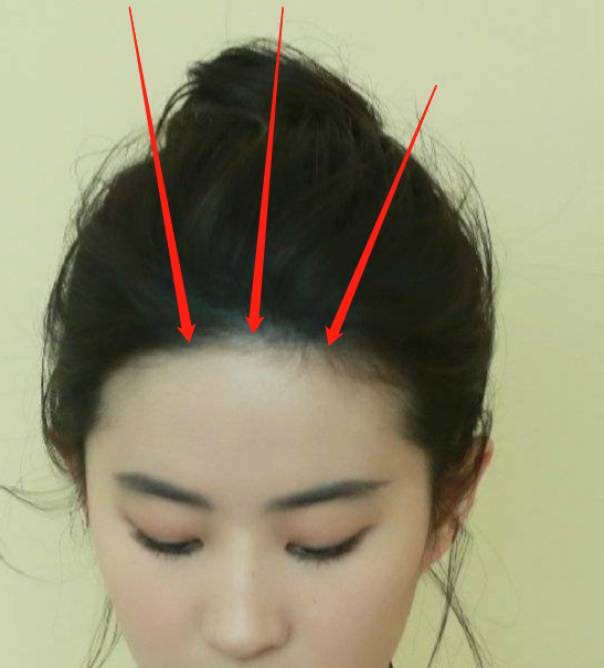 中医解剖学—头面部（1）