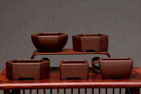 精选青年紫砂壶名家名作，值得品鉴