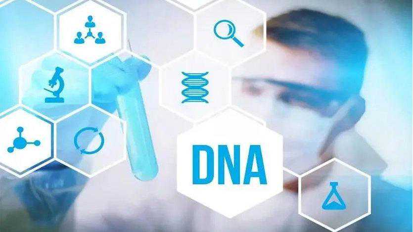 亲子鉴定中二联体、三联体指的是什么？