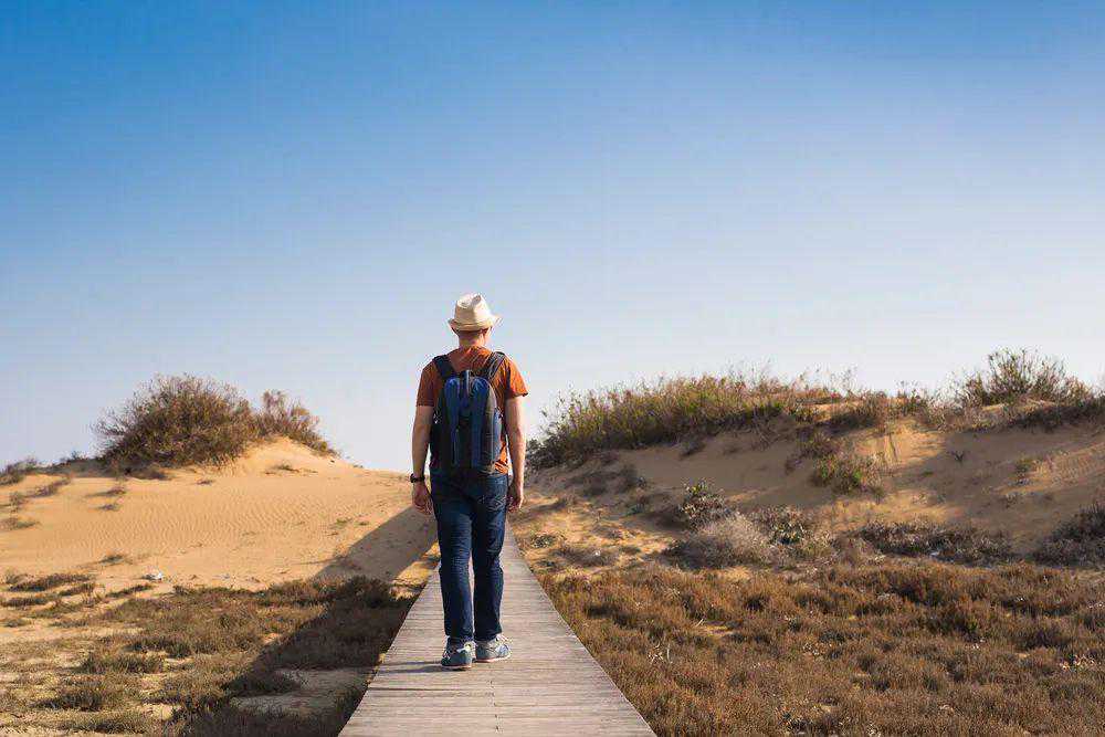 如果你活得很累很迷茫，就去看看这5头驴的故事