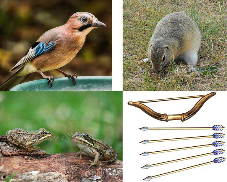 书信的前身——实物信