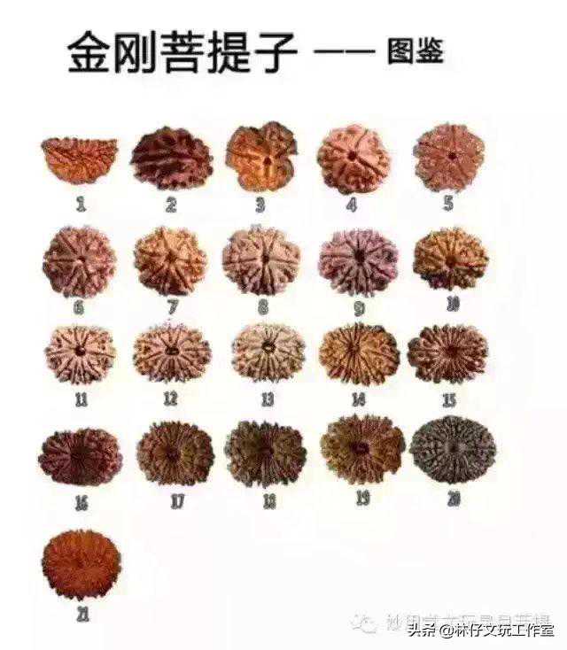 金刚菩提手串一瓣到二十一瓣含义