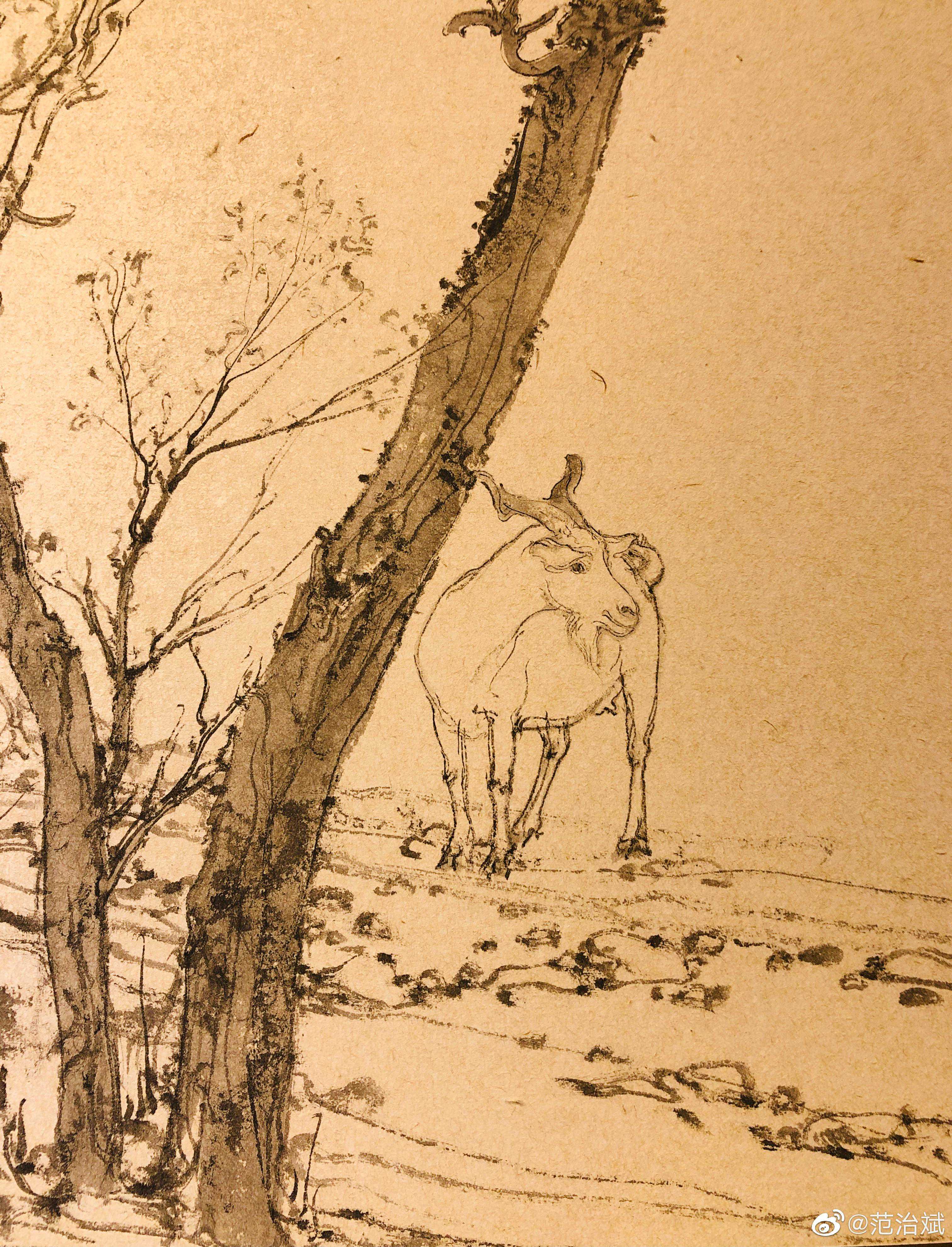 范治斌花鸟新作：这些水墨有灵性