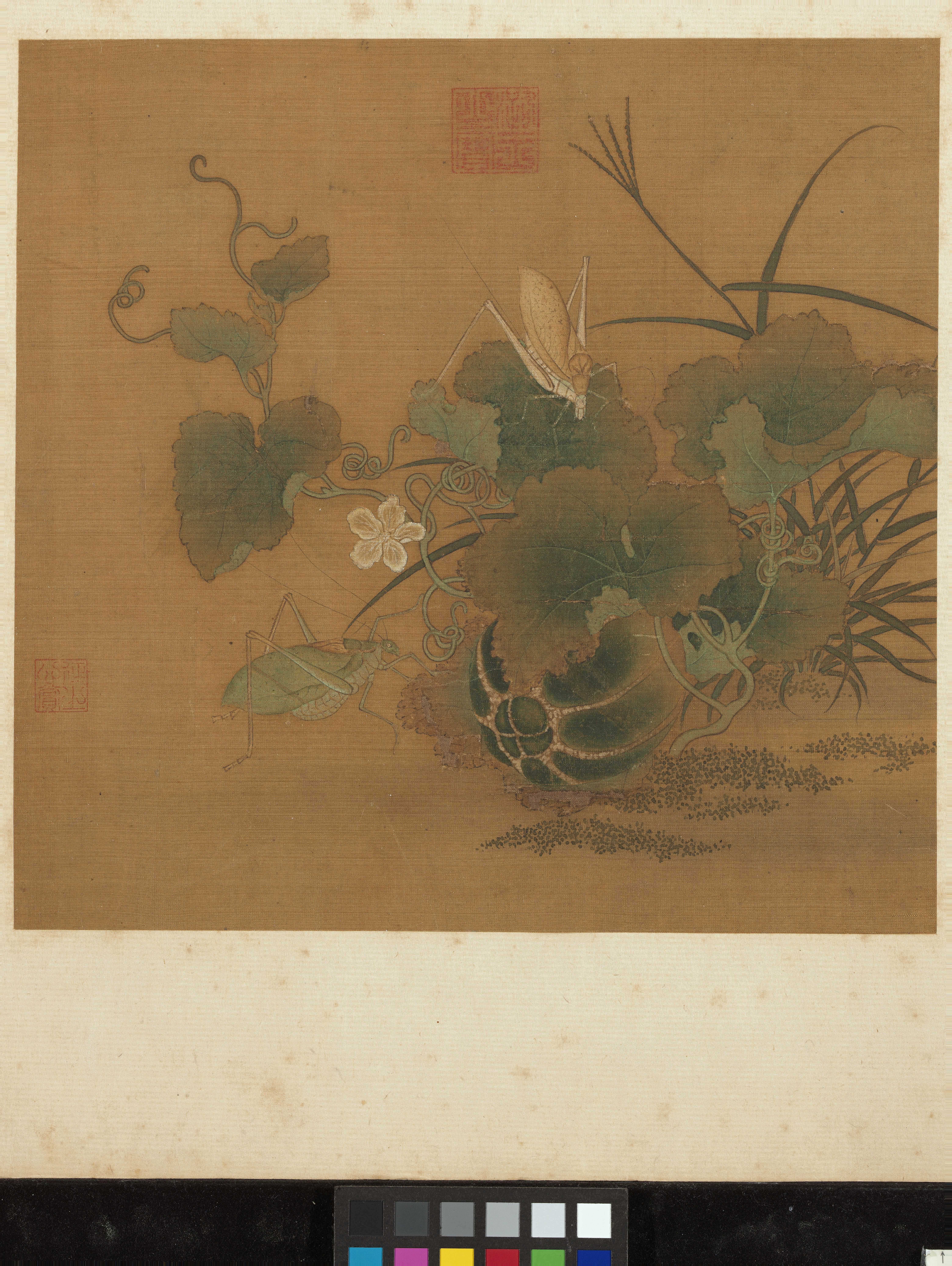 时令风物｜西瓜的百年孤独