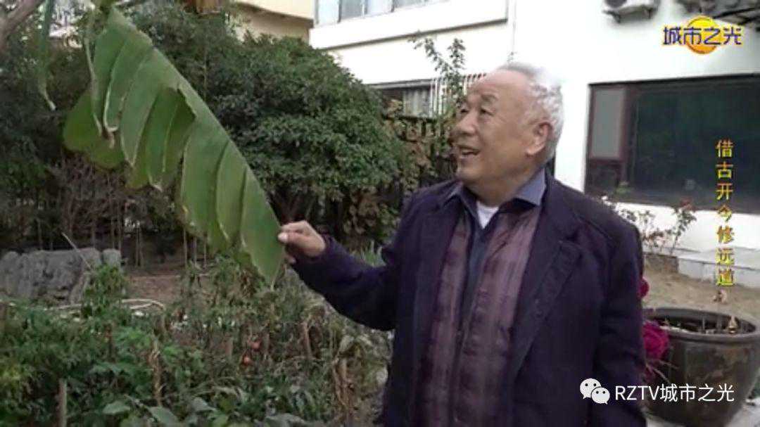 以点带面，才是学习古玉鉴定的最佳姿势，收藏这玩意，贪多嚼不烂