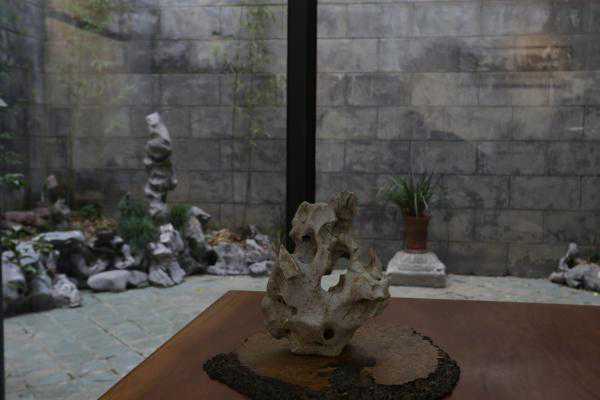 专栏·隔路闻香