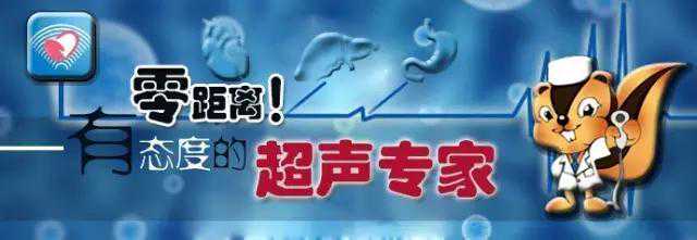 权威收藏！左心室假腱索的知识要点