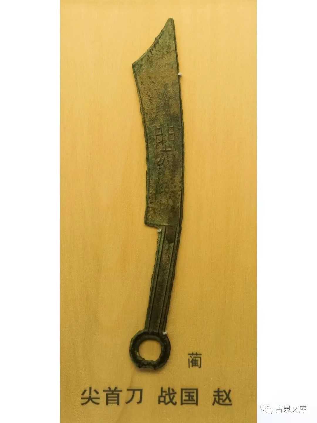 崔淳|上海博物馆钱币收藏揽胜 之二