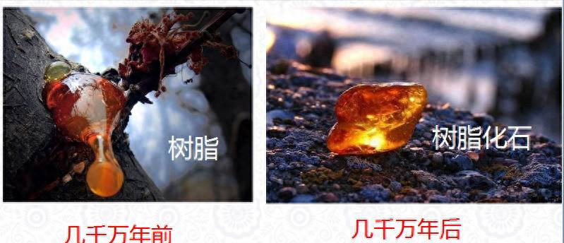 最新最全琥珀蜜蜡知识大全，火速收藏！