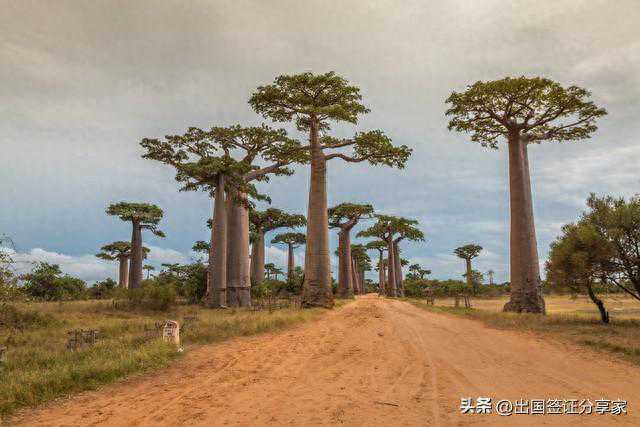 马达加斯加旅游攻略！建议收藏反复阅读