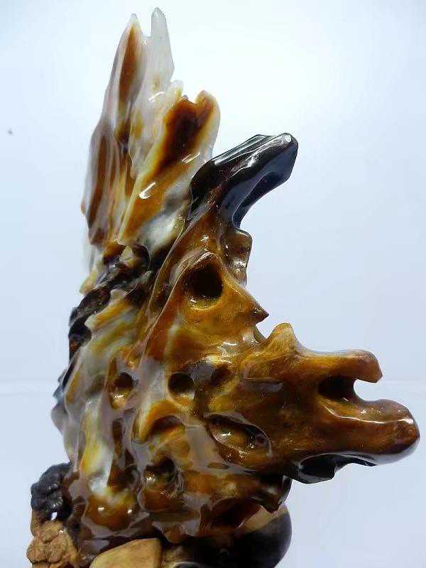 收藏新宠奇玉宝石树化玉，家藏一块石来运转！