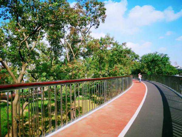 感受上海的美丽秋色，这5条骑行线路收藏起来