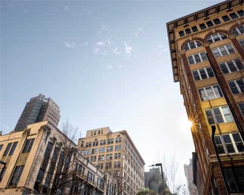 黄蜡石和黄龙玉哪个贵？它们有收藏价值吗？