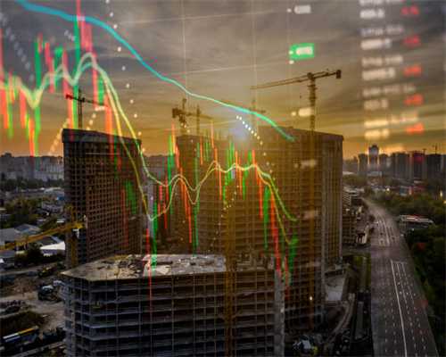 砗磲收藏的十三大误区与选购指南