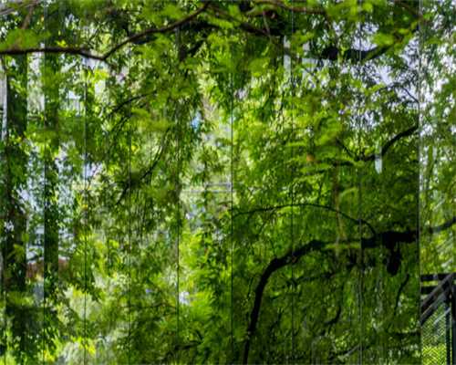 弘辽科技：淘宝做收藏加购有权重吗？权重规则是什么？