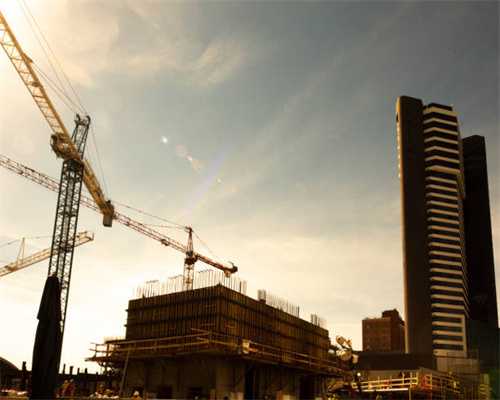 还没脱壳的黄豆是不是叫豆青