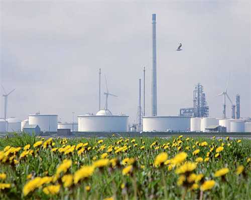 分享上45款十字绣花朵图样，又漂亮又实用花型！新手收藏练习