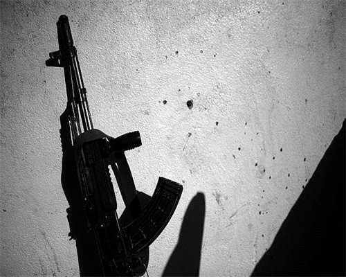 建议收藏！常见虾类食物营养成分表