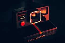 这样养橡皮树，叶片油亮肥厚，瞬间长满盆，让橡皮树千孙万代